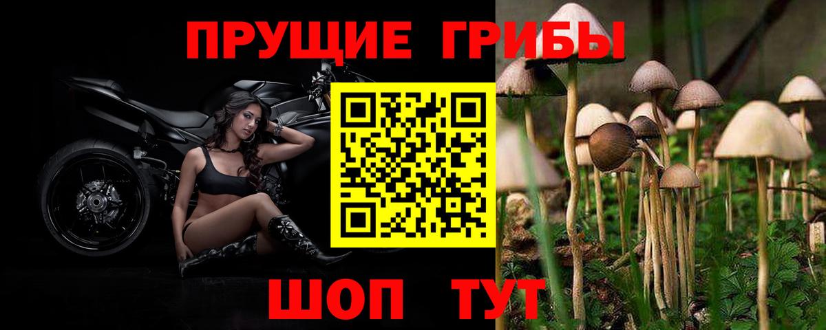 Псилоцибиновые грибы прущие грибы  Галлюциногенные грибы MAGIC MUSHROOMS  что такое   Ялуторовск  Вход с VPN 